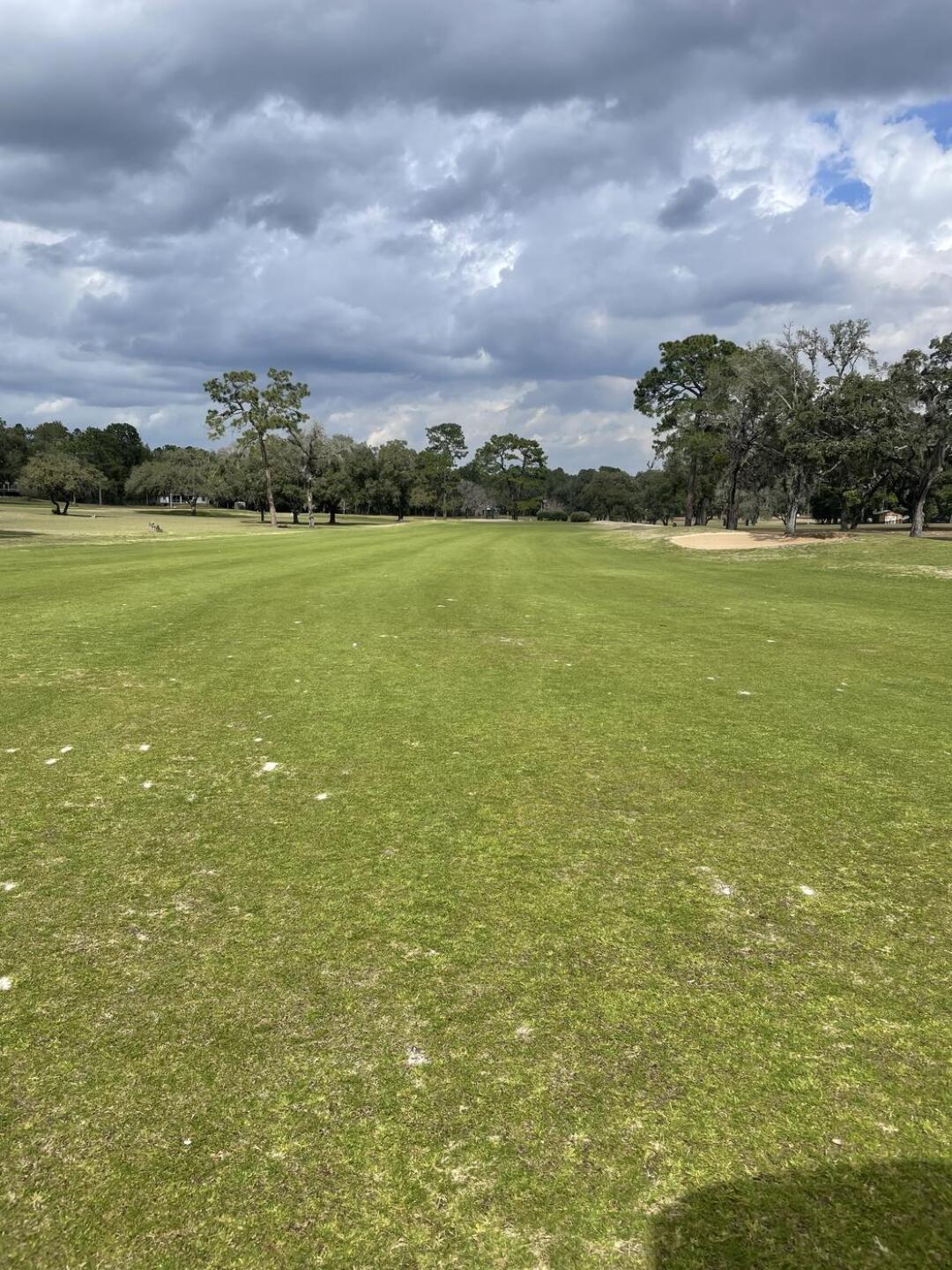 (Photo submitted by u314163571826 on 02/17/2023)