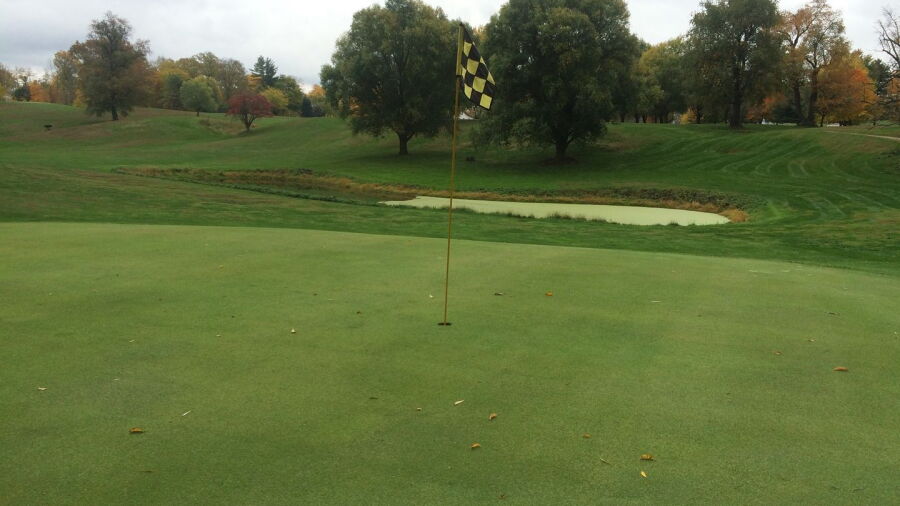 Limberlost GC