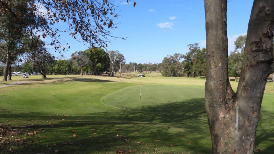 Muswellbrook GC