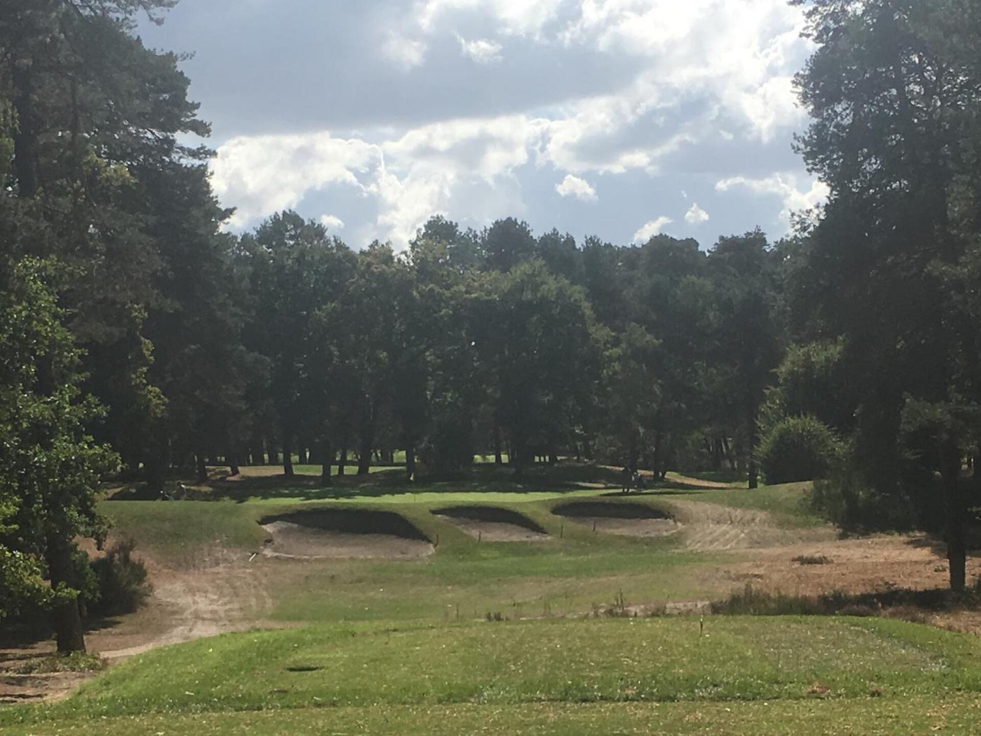 (Photo submitted by WoodyOz on 09/25/2018)