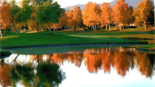 Brentwood GC - Hillside