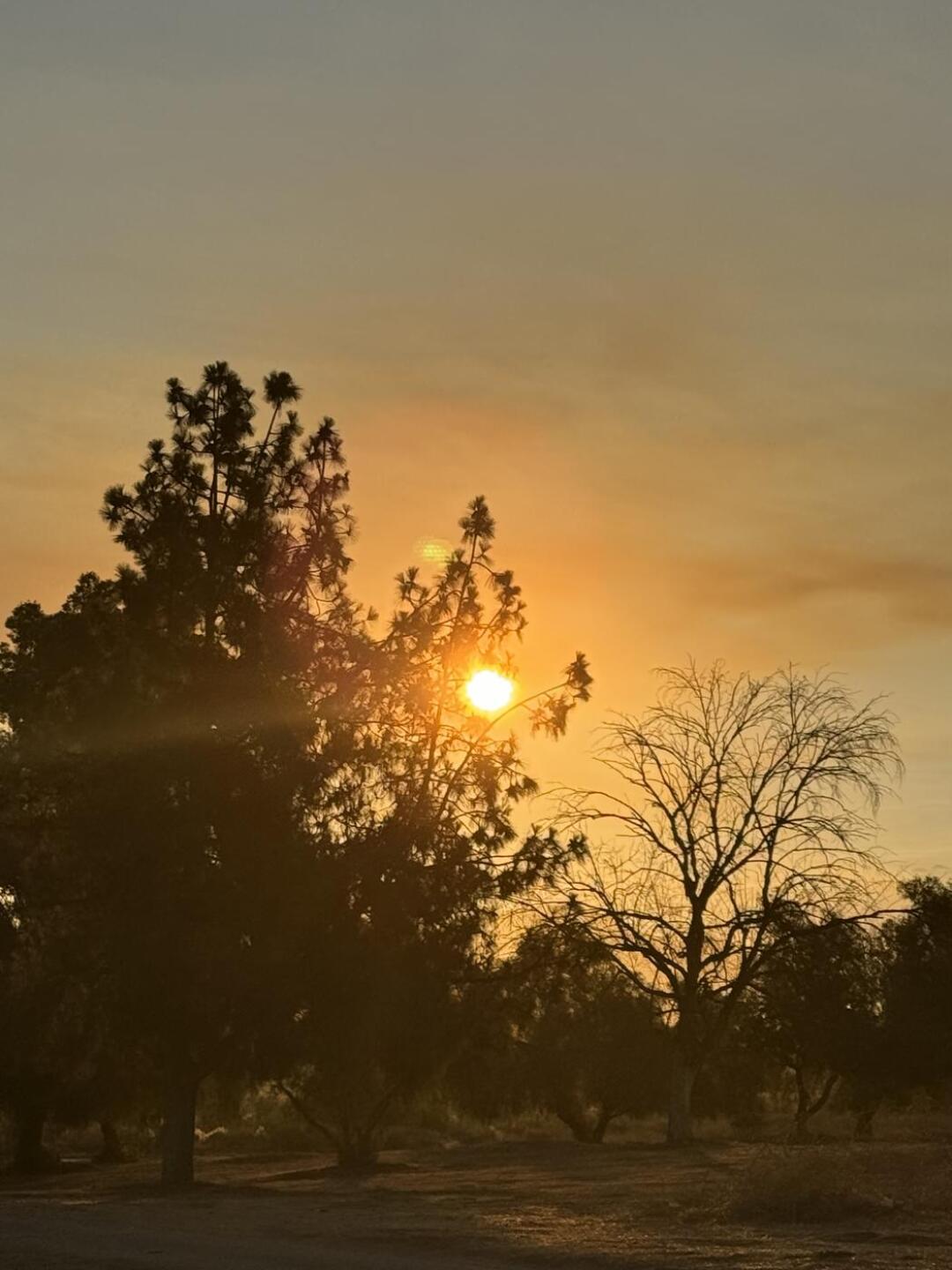 (Photo submitted by MiahKiser on 09/12/2024)