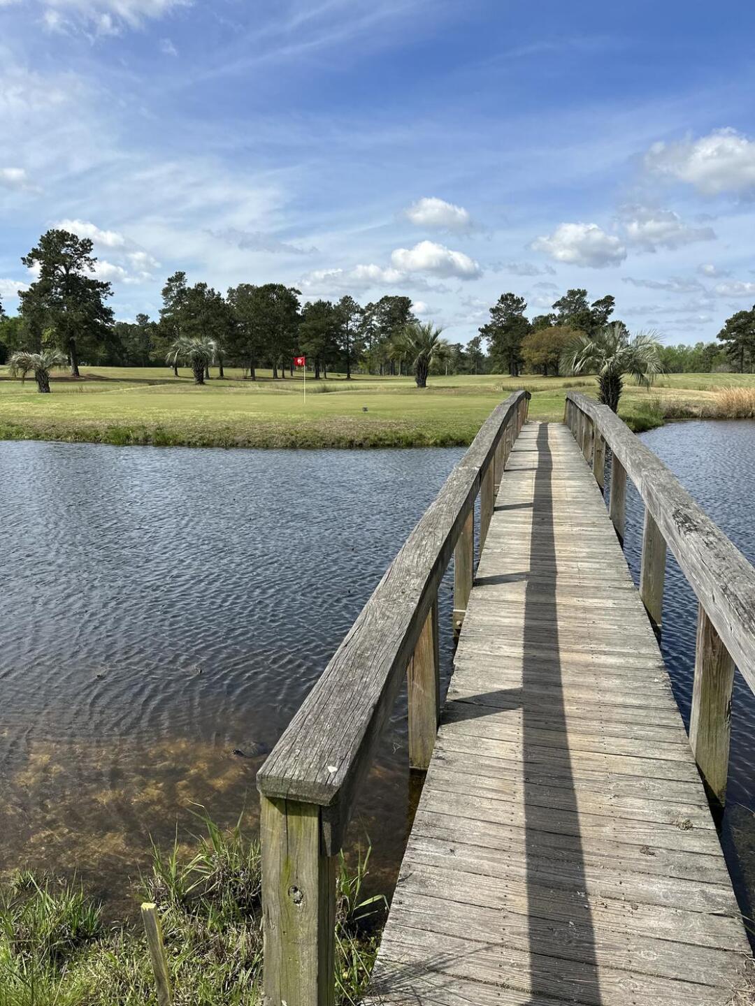 (Photo submitted by mrxena2002 on 03/29/2023)