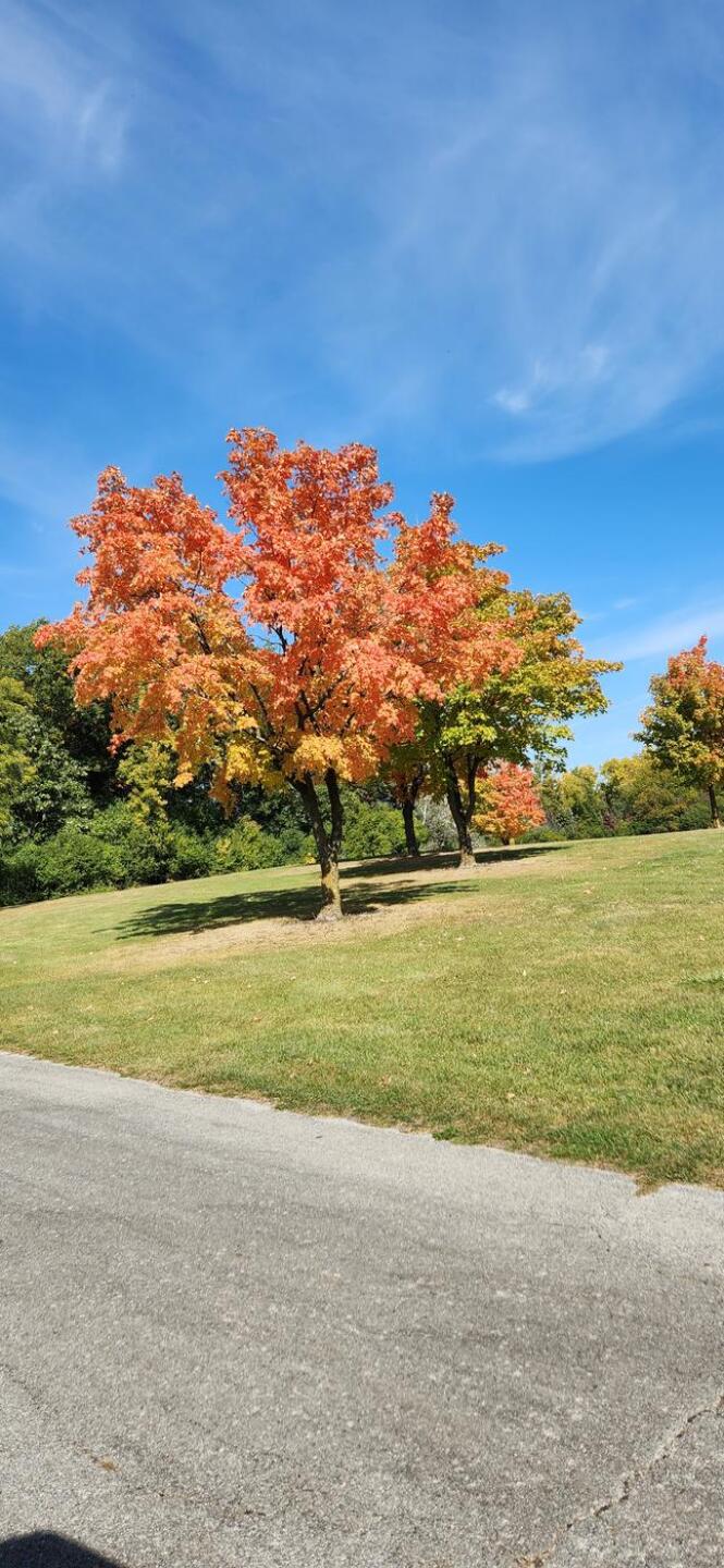 Scenery on the course (Photo submitted by uYEMH9394YE on 10/10/2022)