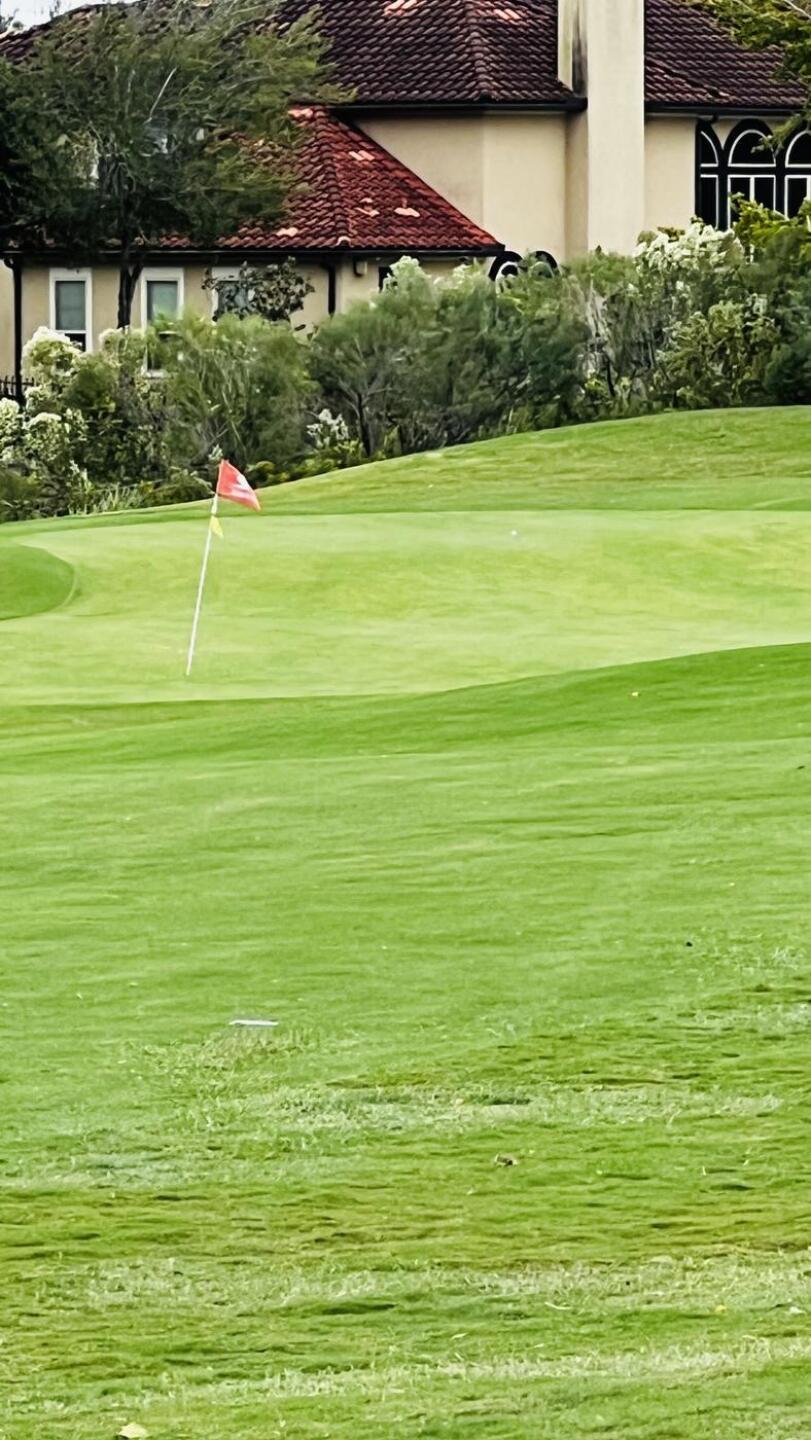 (Photo submitted by u314164604863 on 11/01/2023)