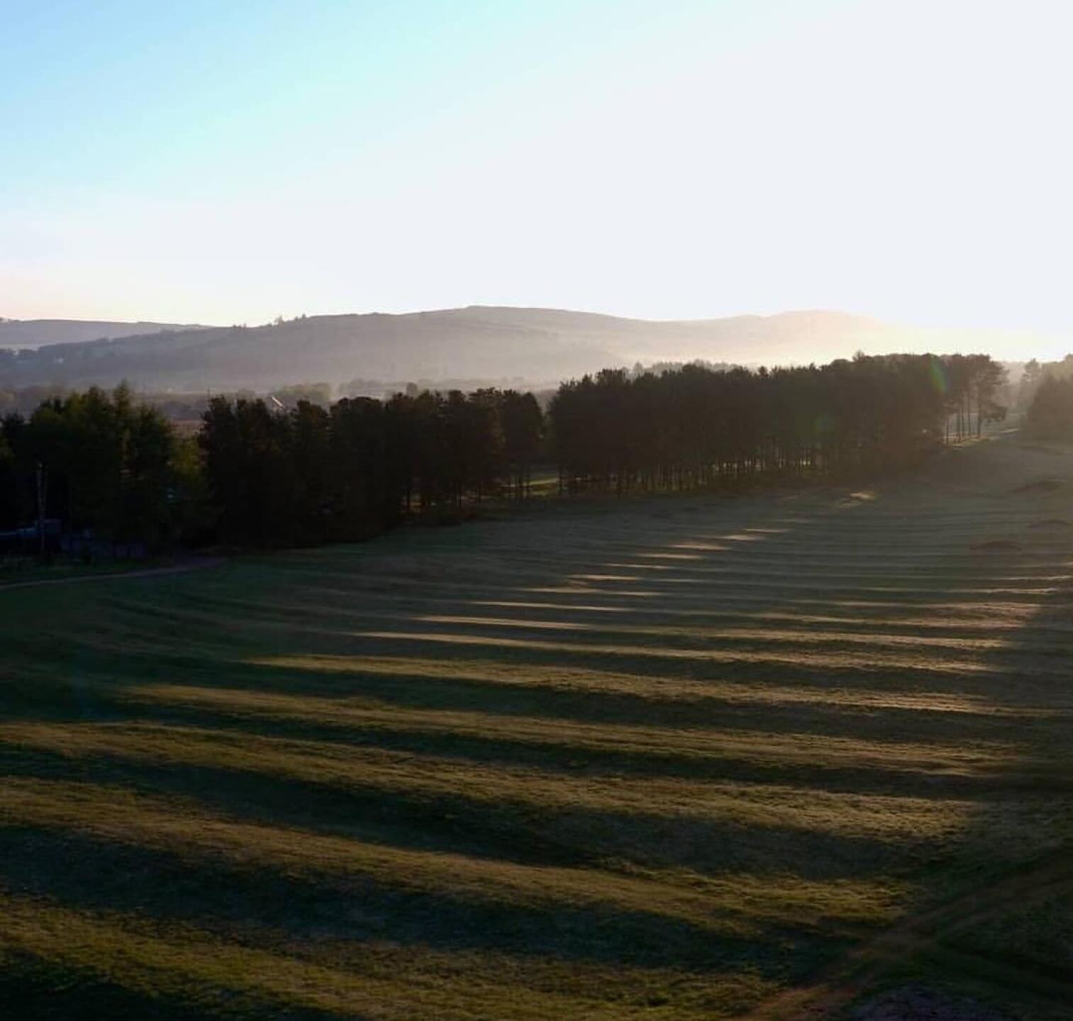 (Photo submitted by 2ez0qMeG1we34wID8mZR on 12/10/2019)