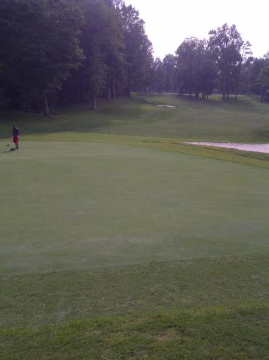Pretty and Green (Photo submitted by flyvers on 07/23/2014)