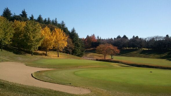 Tamatsukuri GC - Wakaumi