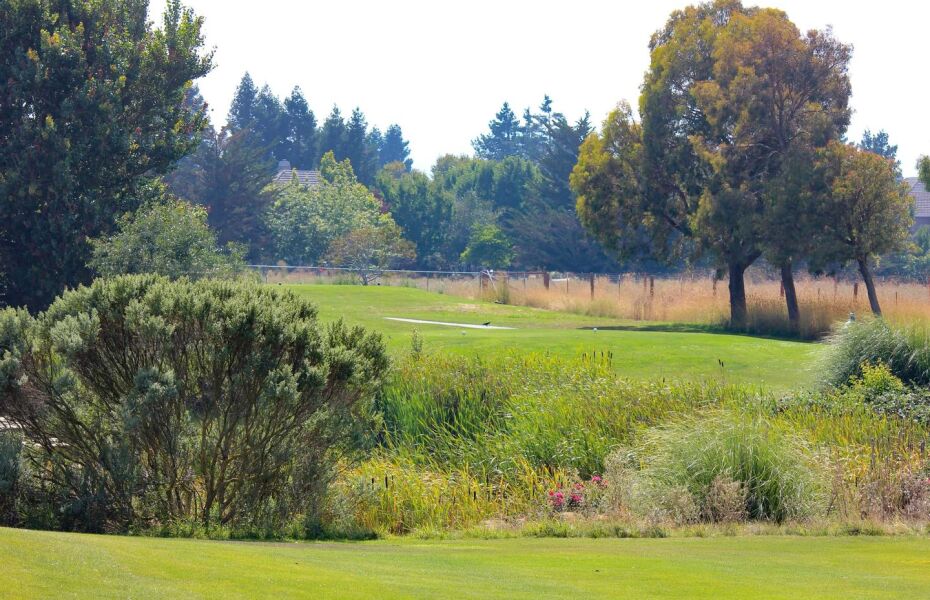 Rooster Run Golf Club in Petaluma, California, USA GolfPass