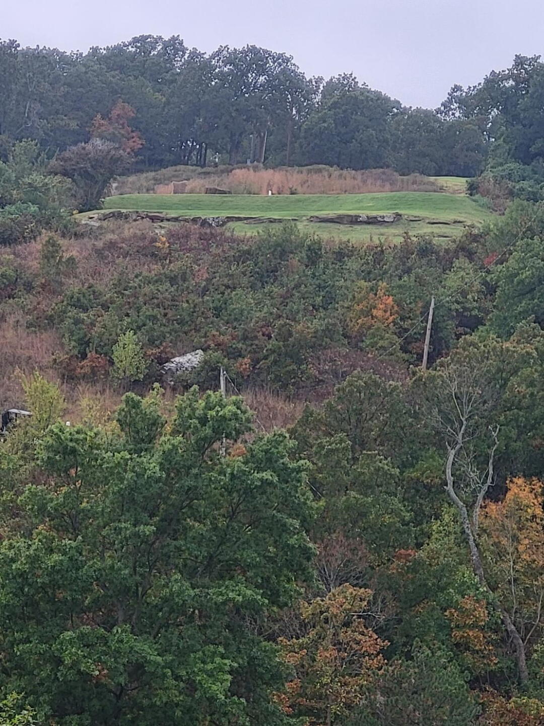 (Photo submitted by u314163897242 on 10/30/2023)