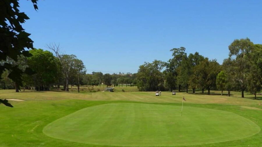 Muswellbrook GC