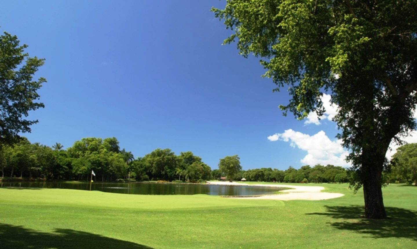 Casa de Campo - Teeth of the Dog - No. 14
