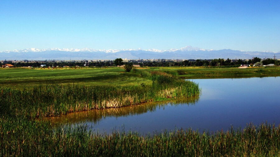 Coyote Creek: #13