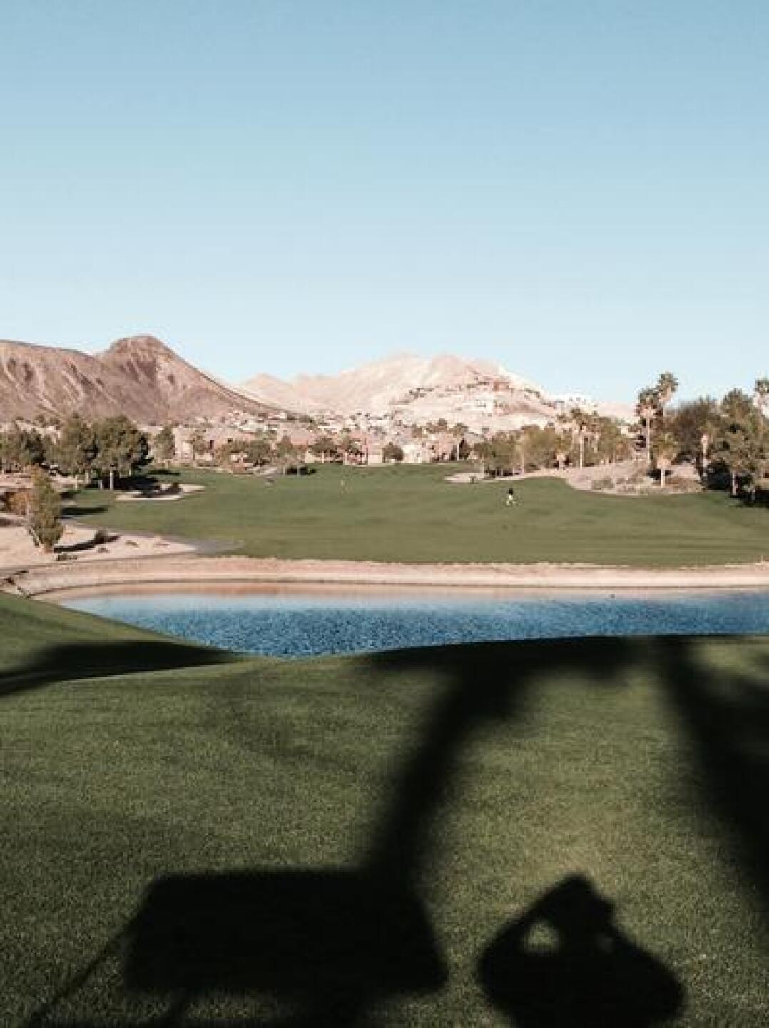 (Photo submitted by longhornsue on 03/06/2015)