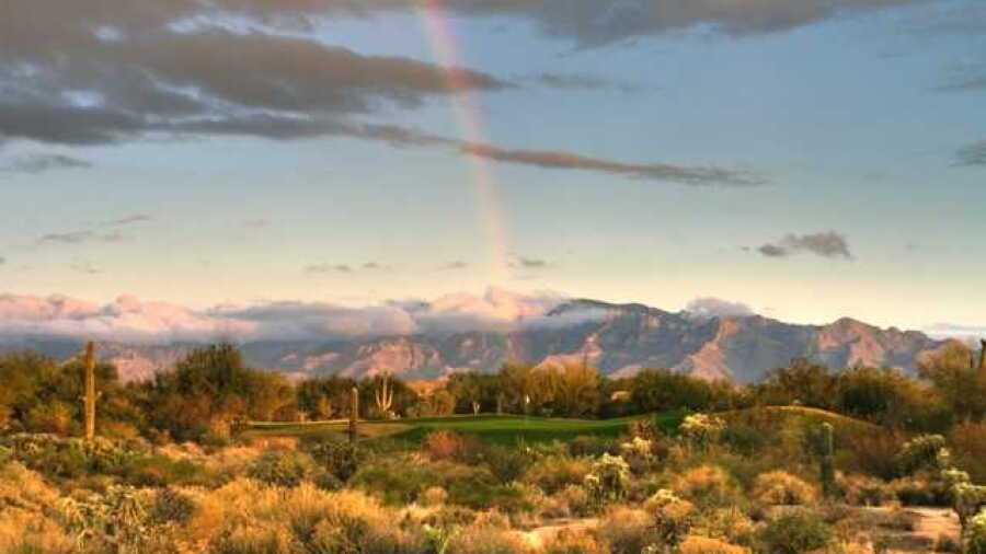 Highlands at Dove Mountain: #7