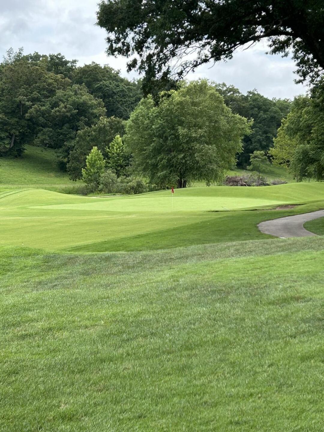 (Photo submitted by tkd9011 on 07/13/2025)