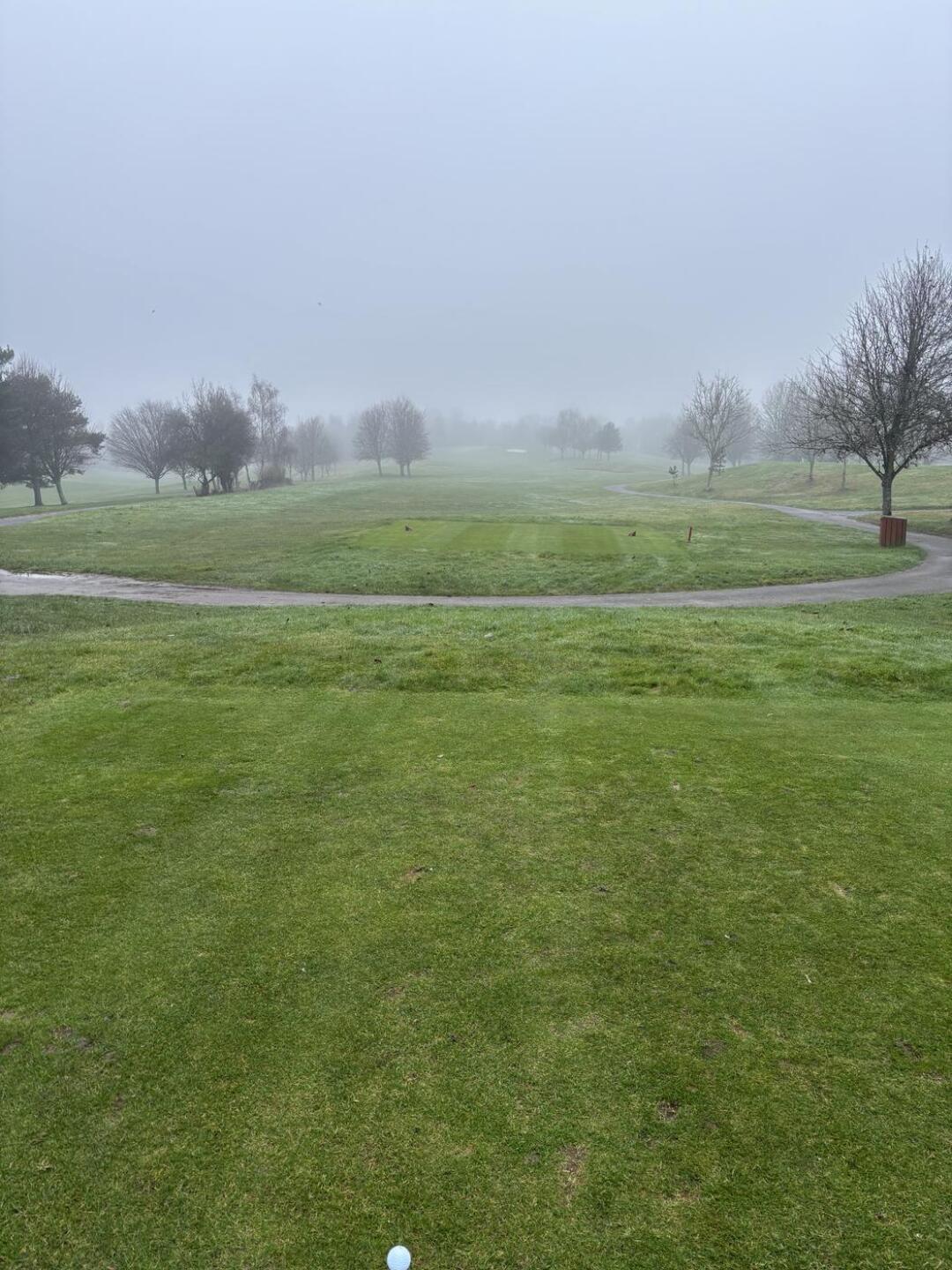 (Photo submitted by u314163895773 on 01/29/2026)