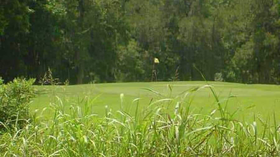 Stephen F. Austin GC