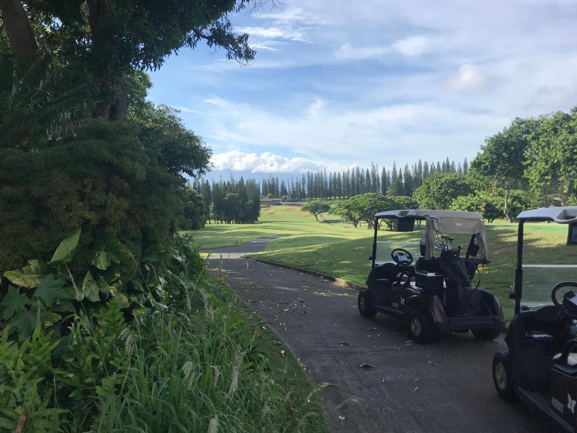 (Photo submitted by SapientCritic on 09/26/2018)