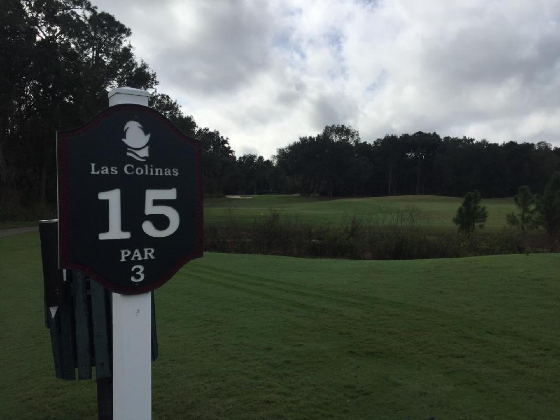 (Photo submitted by neoglitz on 12/31/2015)