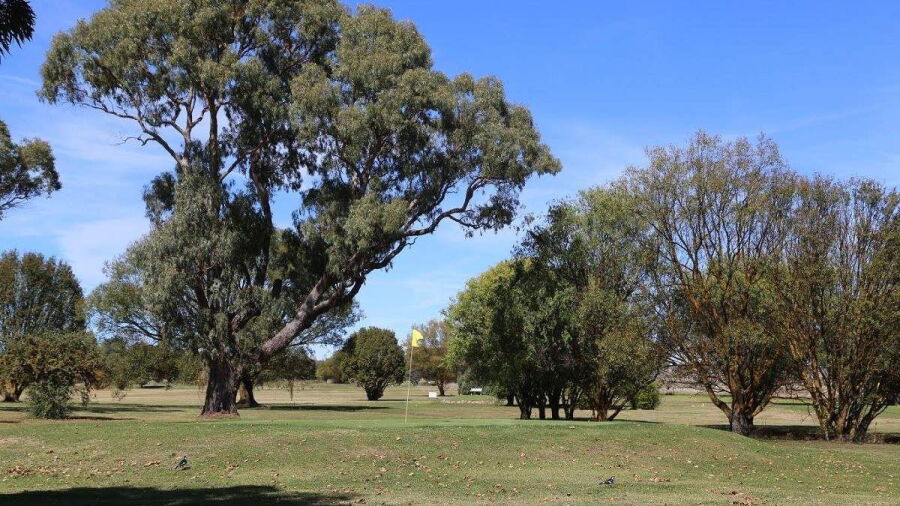 Guyra GC