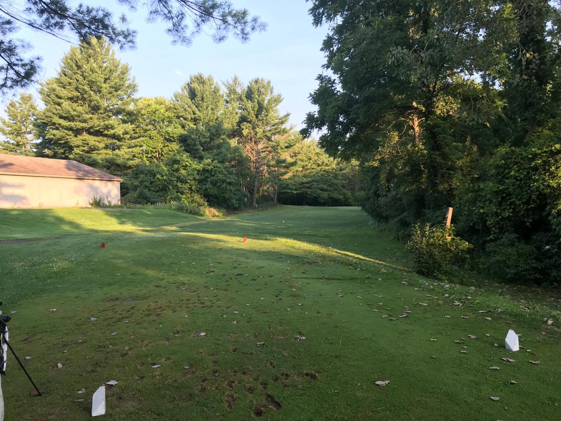 (Photo submitted by BrandonTuckerGA on 08/09/2020)