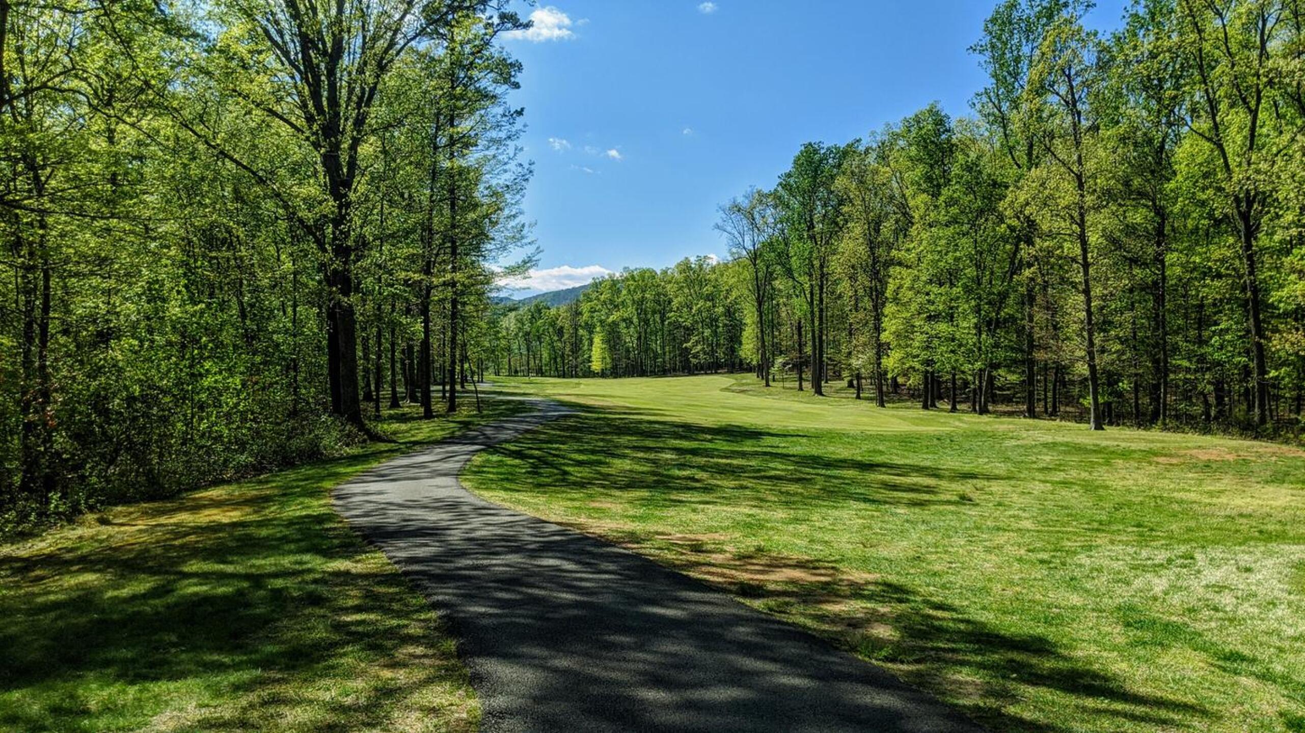 Par-4 11th (Photo submitted by Back9Ben on 04/30/2020)