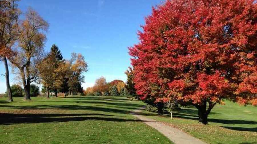 Hiland GC