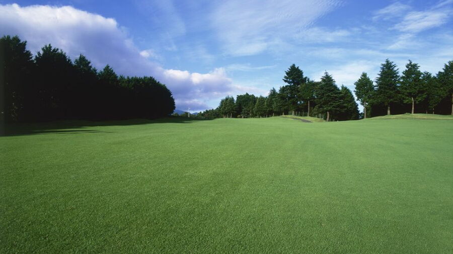 Odawara GC - Matsuda: #15