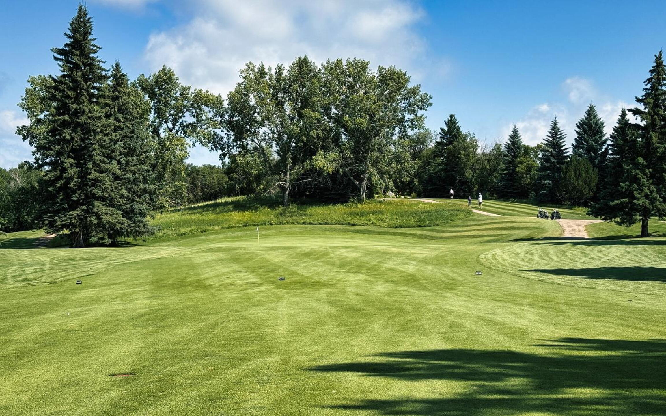 Cooke Municipal GC, Hole 2, Par 4, 385 yds, 110 yds out (Photo submitted by DYakimec on 09/01/2026)