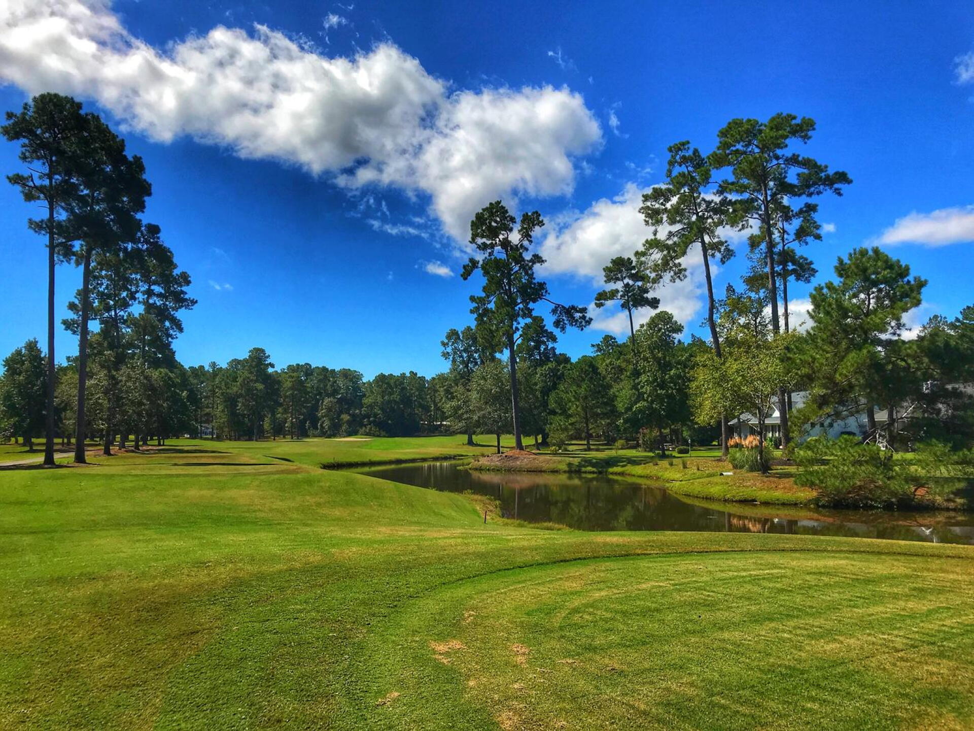 The tee shot on 14 at Meadowlands requires a golfer's sense of humor to navigate successfully. (Photo submitted by TimGavrichGP on 11/07/2018)