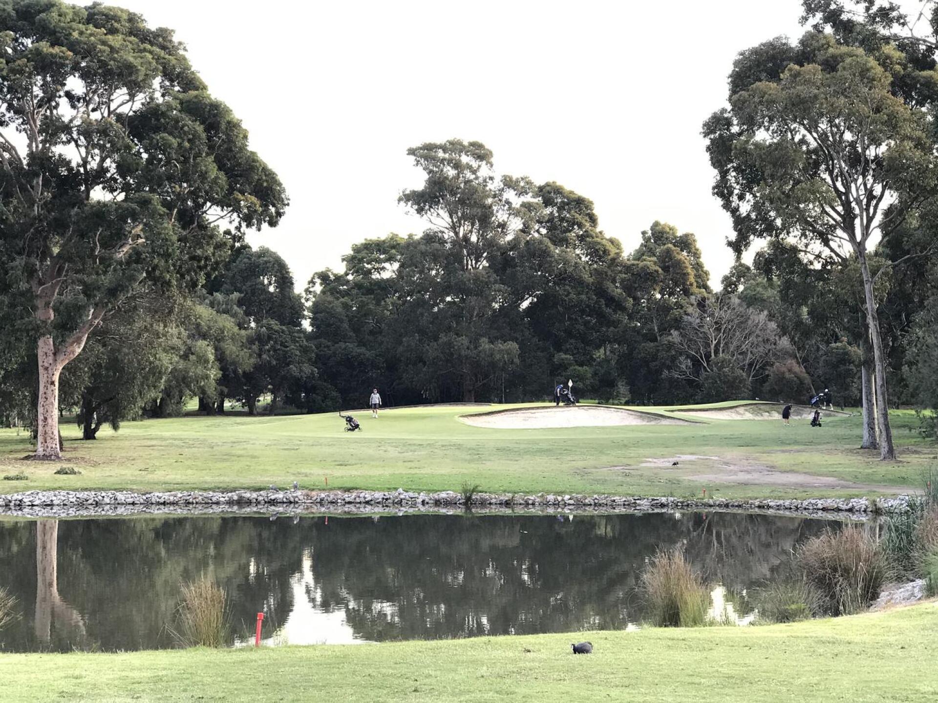 (Photo submitted by theglasseyegolfer on 05/24/2021)