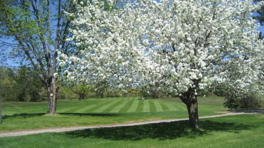 Edgewater CC