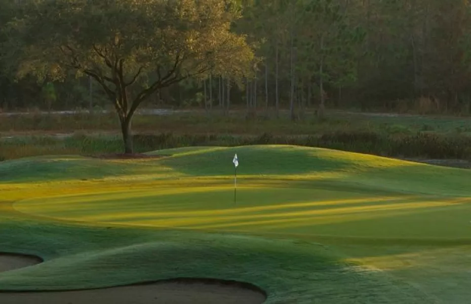 North at Shadow Wood CC: #12