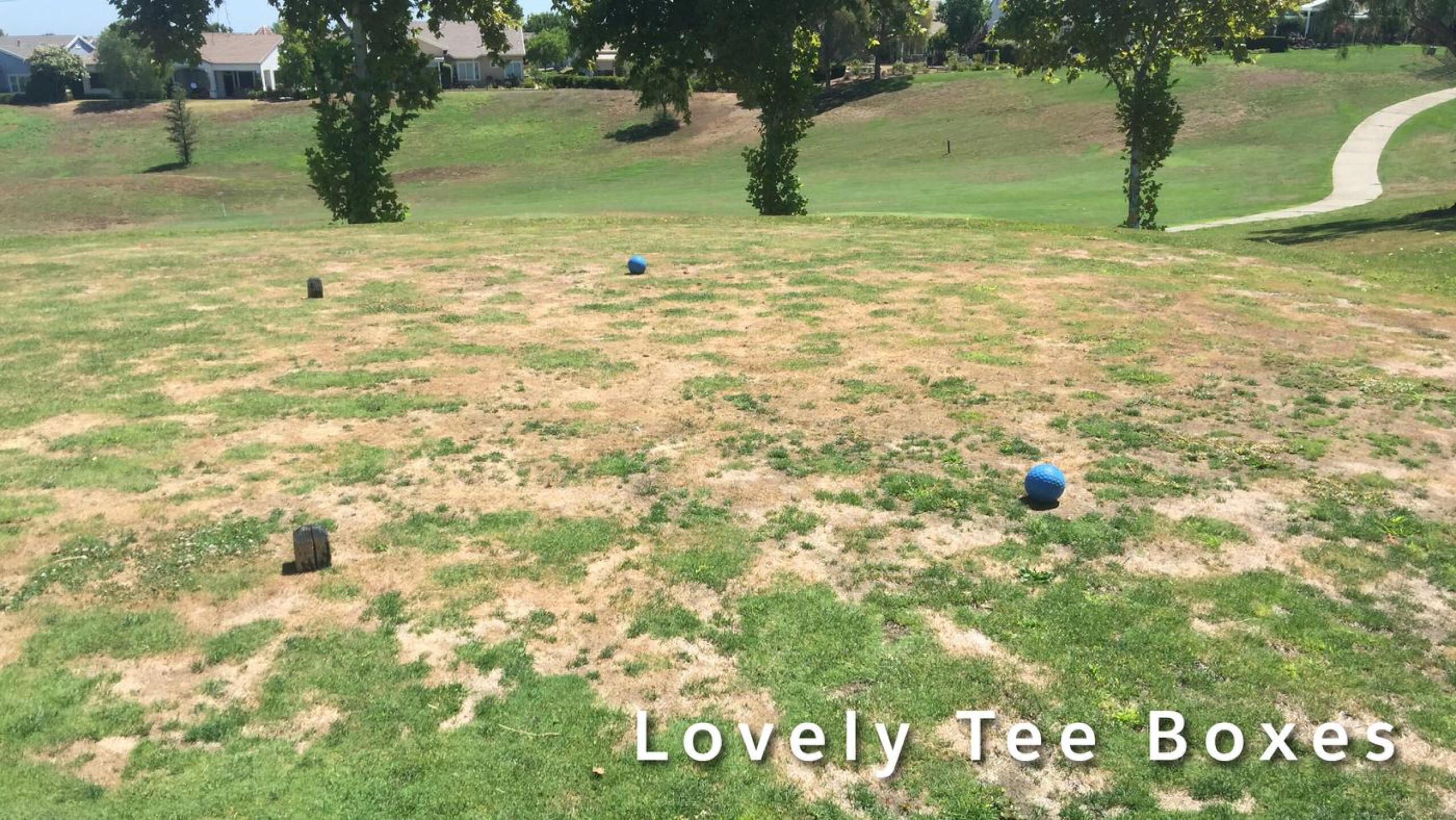Teeboxes were a joke in nearly all cases. (Photo submitted by danstone360 on 07/25/2015)