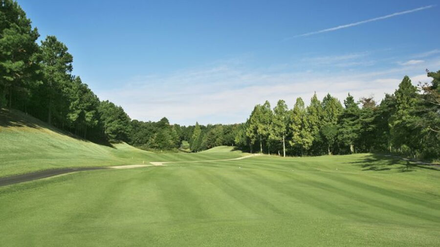 Yashirotojo GC: #5