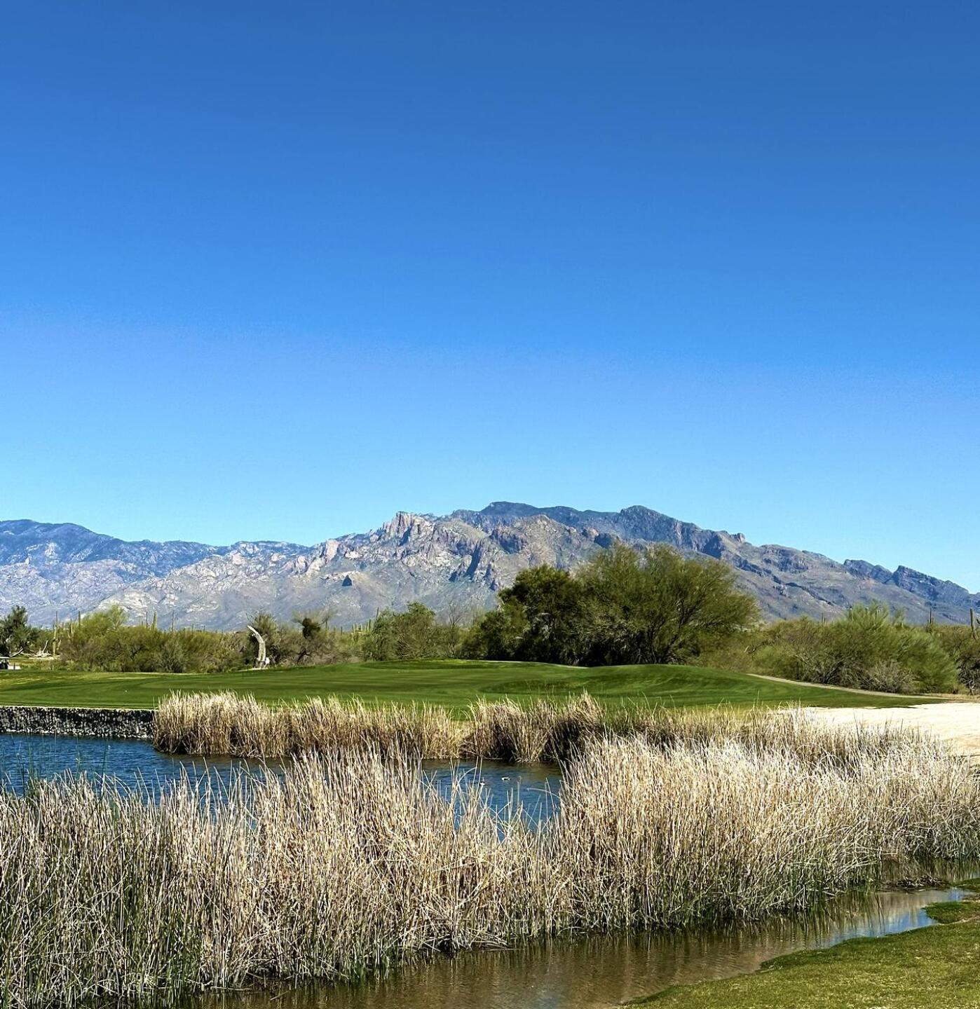 Par 3 on the back side. (Photo submitted by ckdemarco on 03/07/2026)