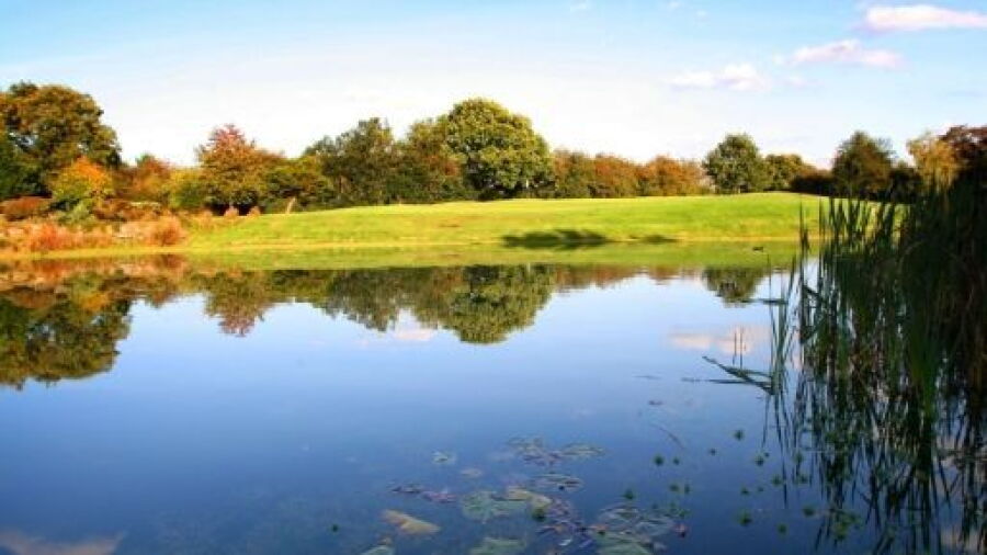Lake view