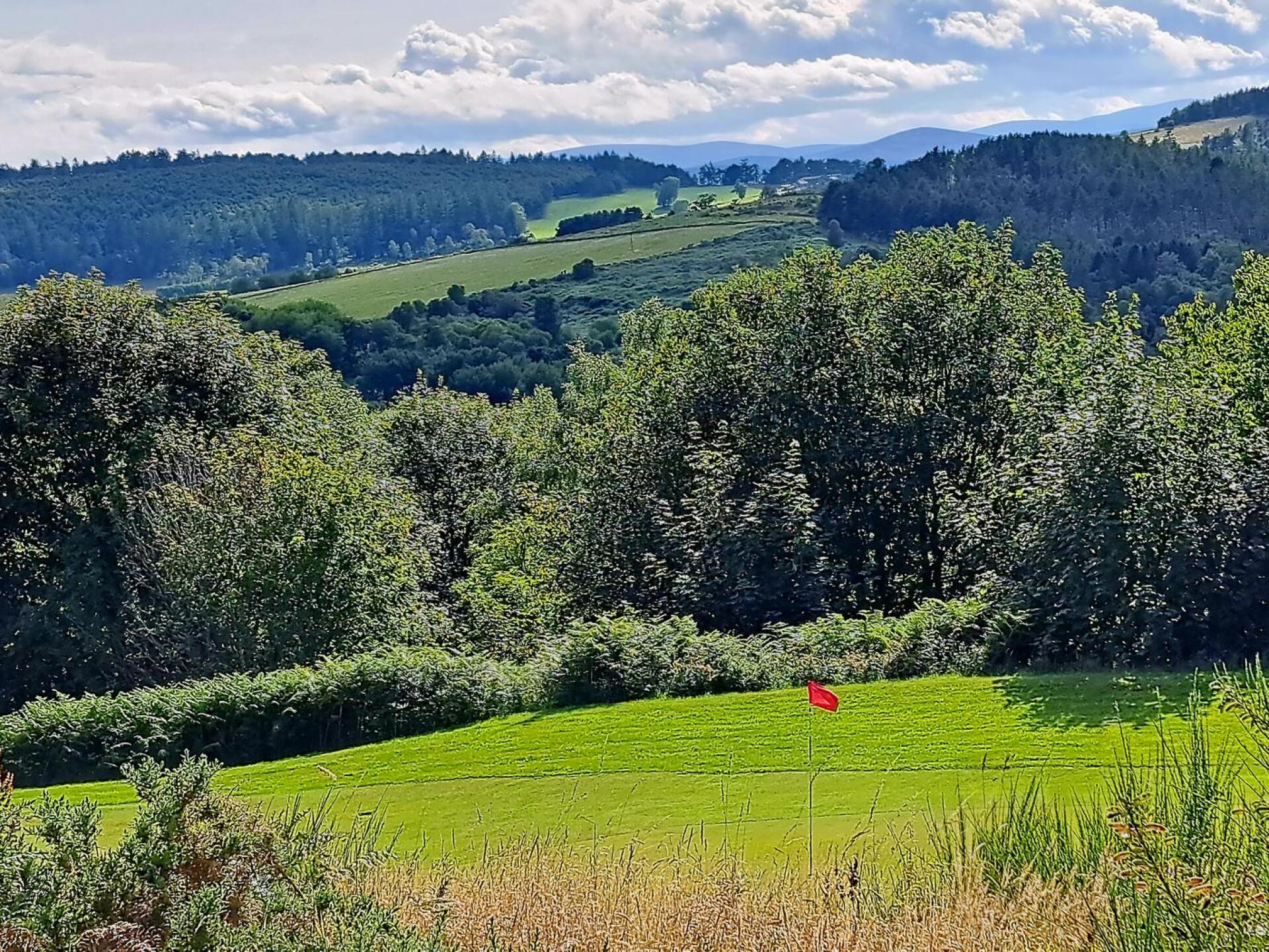 (Photo submitted by u314163107075 on 07/28/2023)