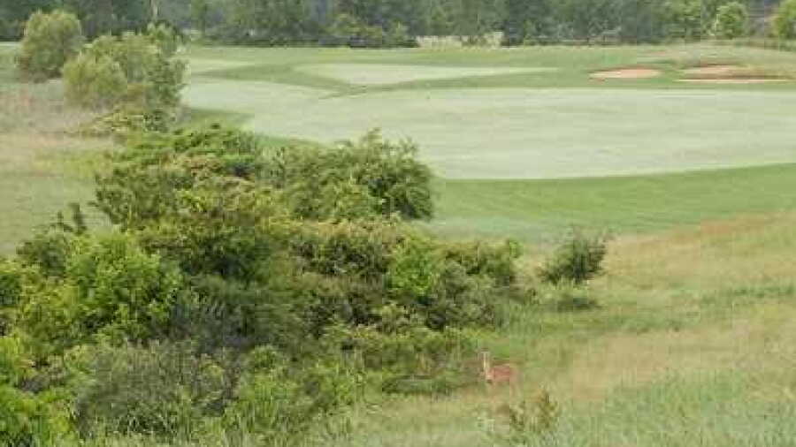 Quail Ridge GC