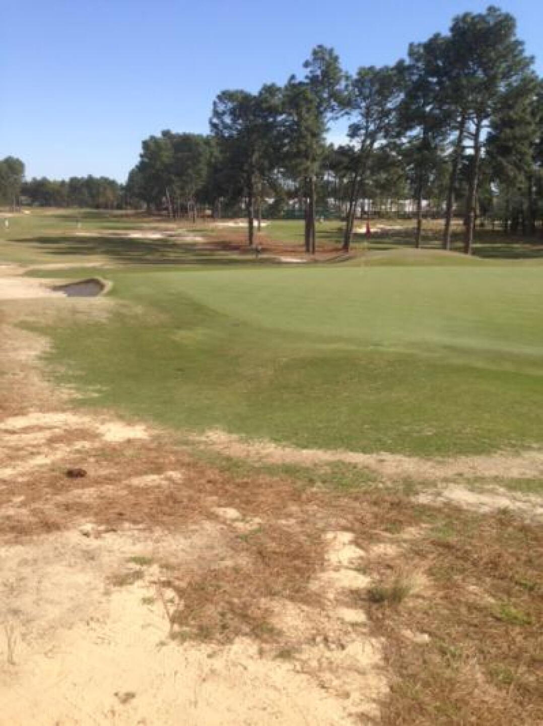 16 green (Photo submitted by WillGrayGC on 05/30/2014)