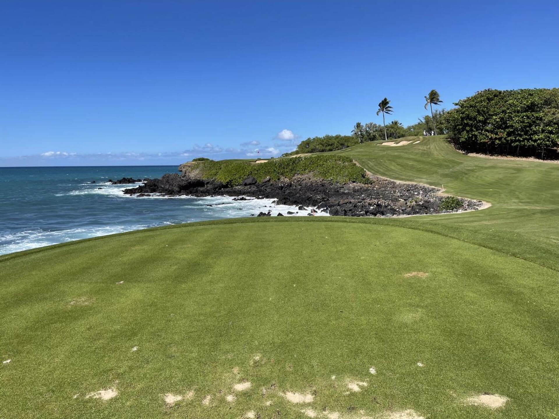 (Photo submitted by RTellmann on 02/09/2022)