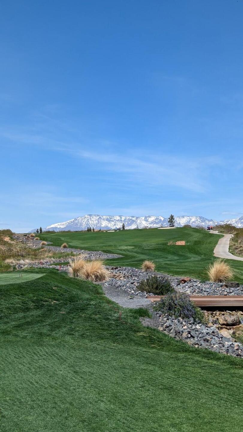 (Photo submitted by tiburonazo on 05/05/2023)