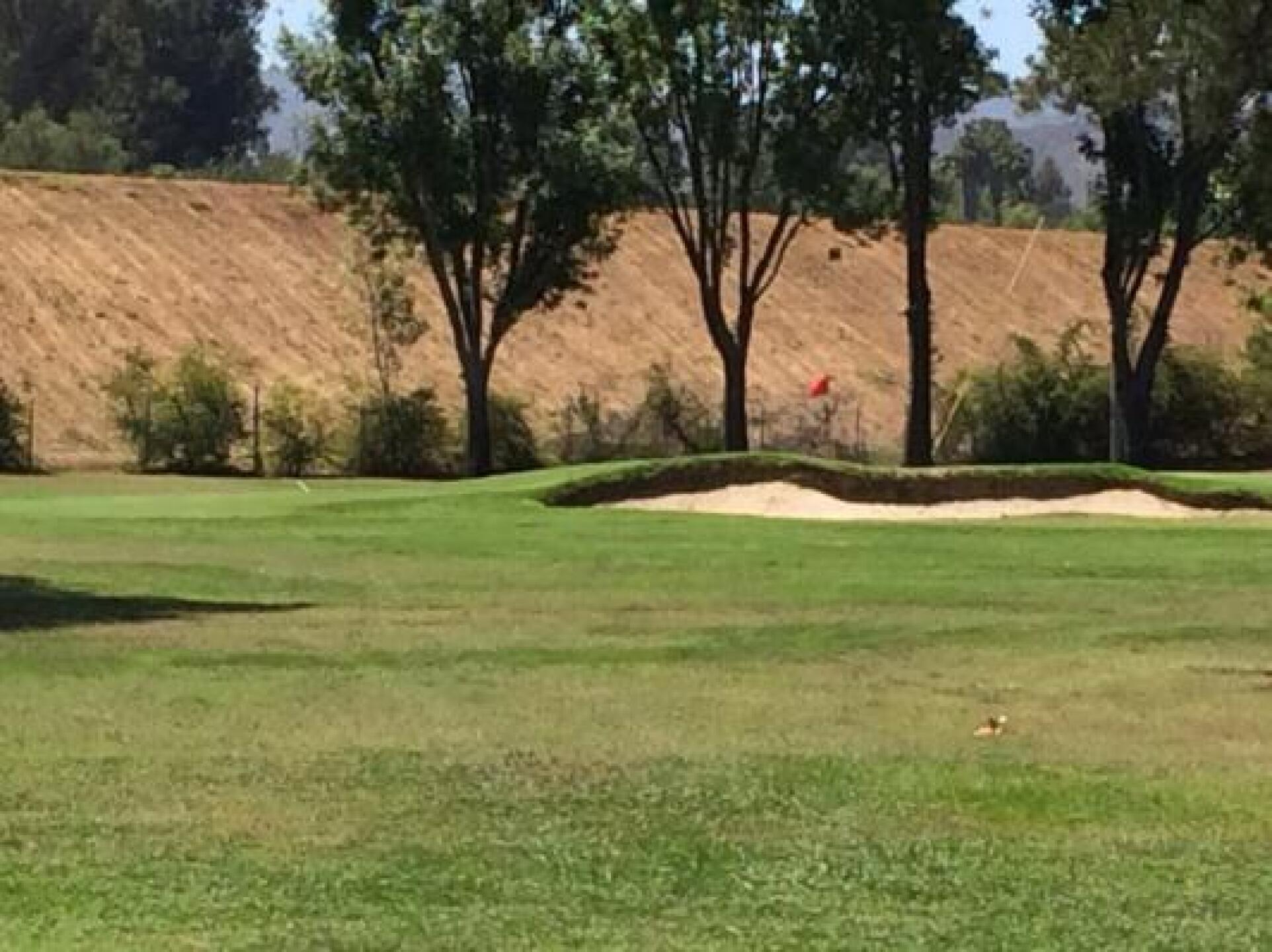 (Photo submitted by robert9796127 on 06/25/2014)