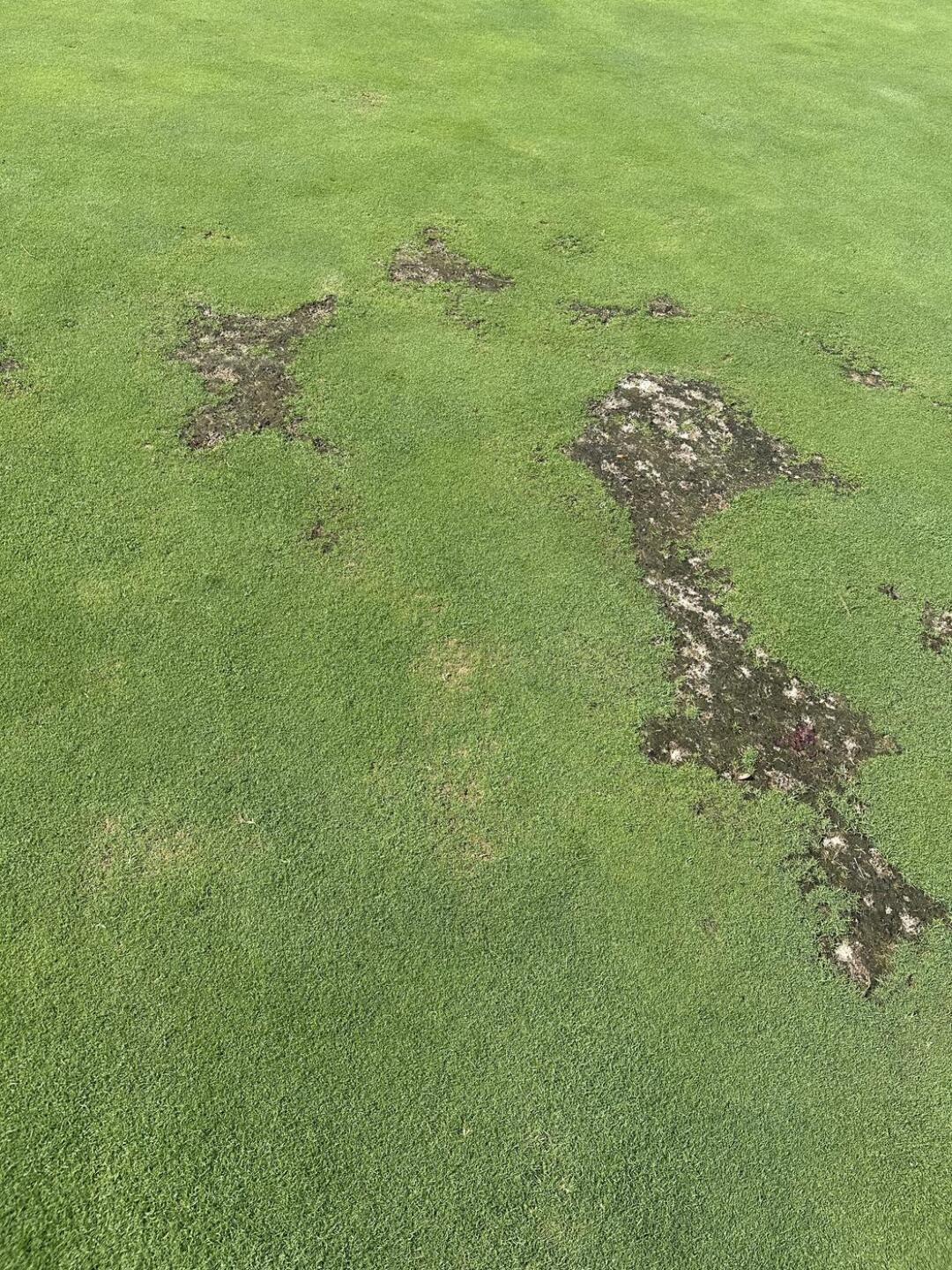 How bad is this? (Photo submitted by Remyboykc on 09/18/2025)