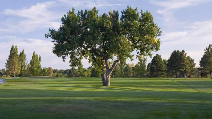 Greg Mastriona GC at Hyland Hills