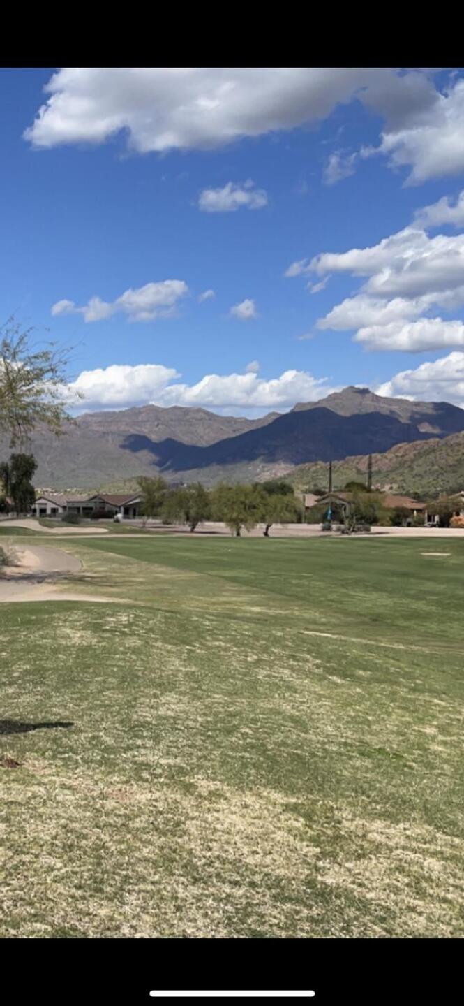 (Photo submitted by u000004133725 on 03/30/2023)