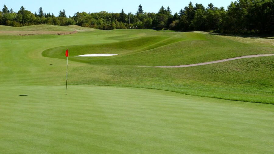 Andersons Creek GC: #11