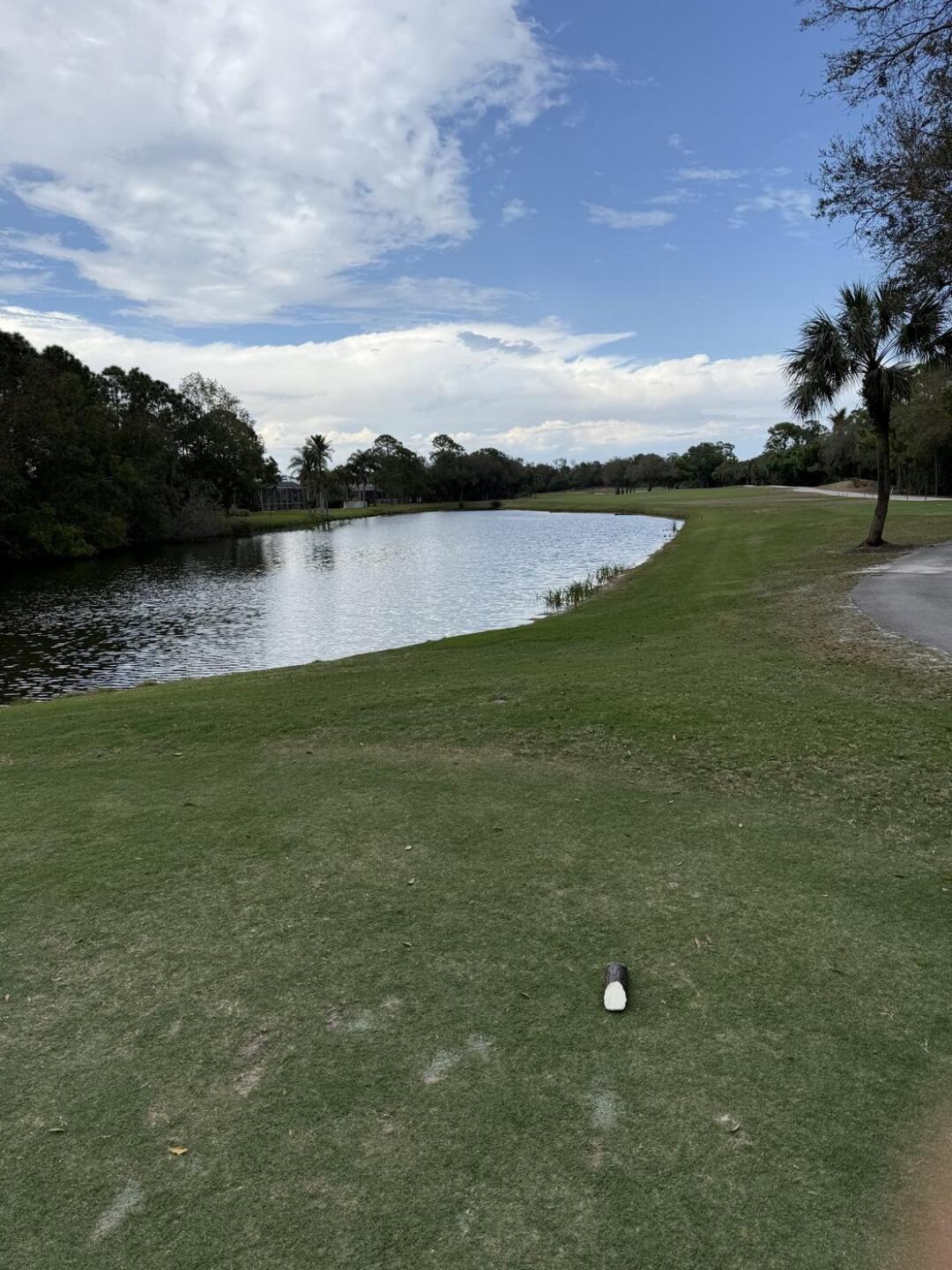 (Photo submitted by Greg9653812 on 03/05/2026)