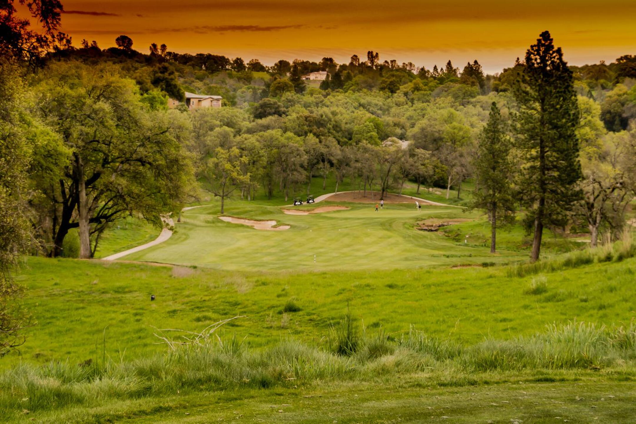 8th hole (Photo submitted by VCMestimator on 04/09/2017)